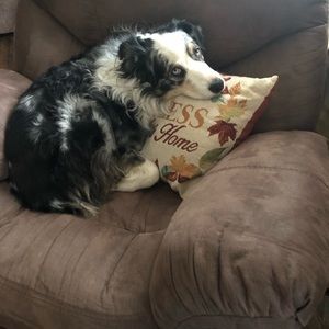 Meet your Posher, Lexie